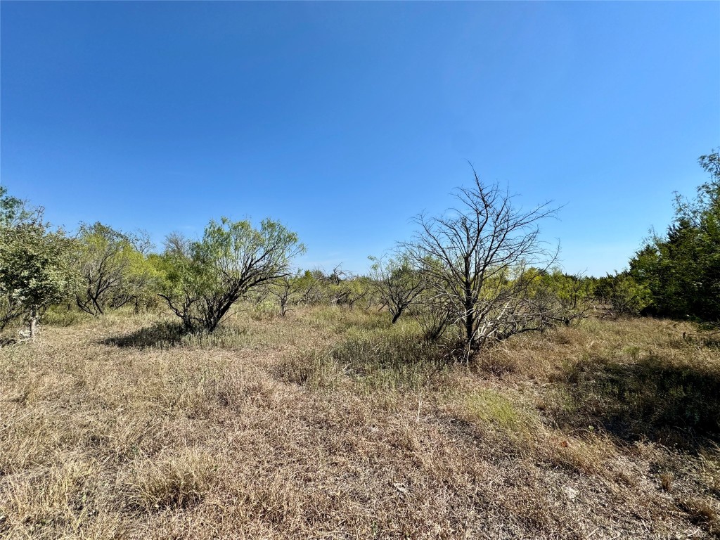14312 Maha Road Austin, TX 78719 - Photo 1 of 10 a view of a dry yard