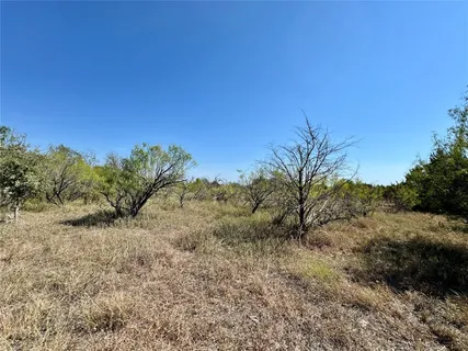 a view of a dry yard