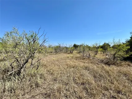 a view of a field of the trees