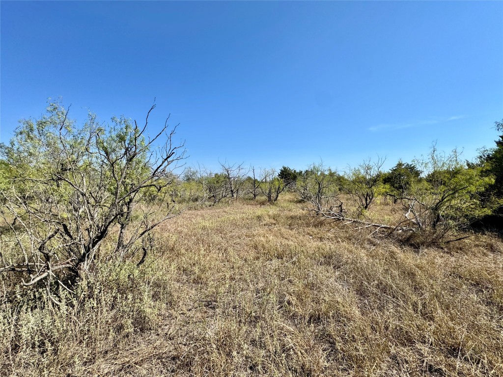 14312 Maha Road Austin, TX 78719 - Photo 5 of 10 a view of a field of the trees