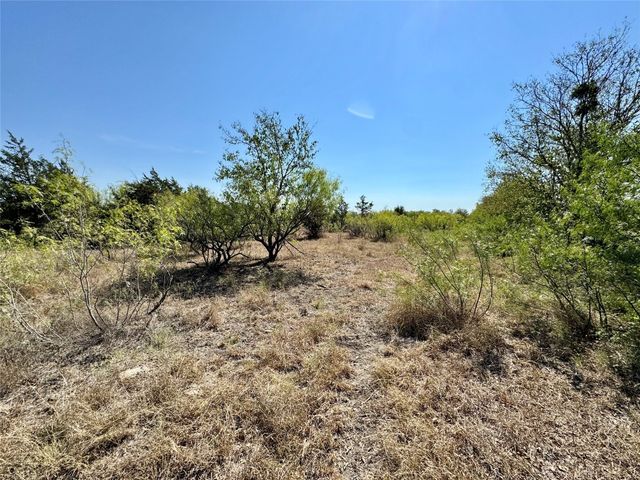 a view of a yard with plants and a tree
