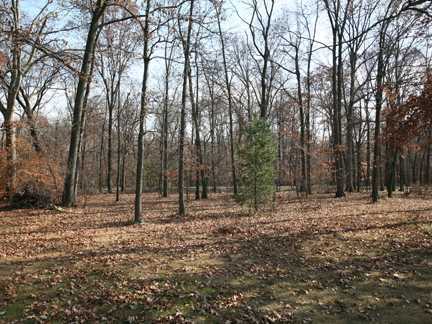 6061 Hughes Road Galena, OH 43021 - Photo 25 of 25 Gallery Image 25