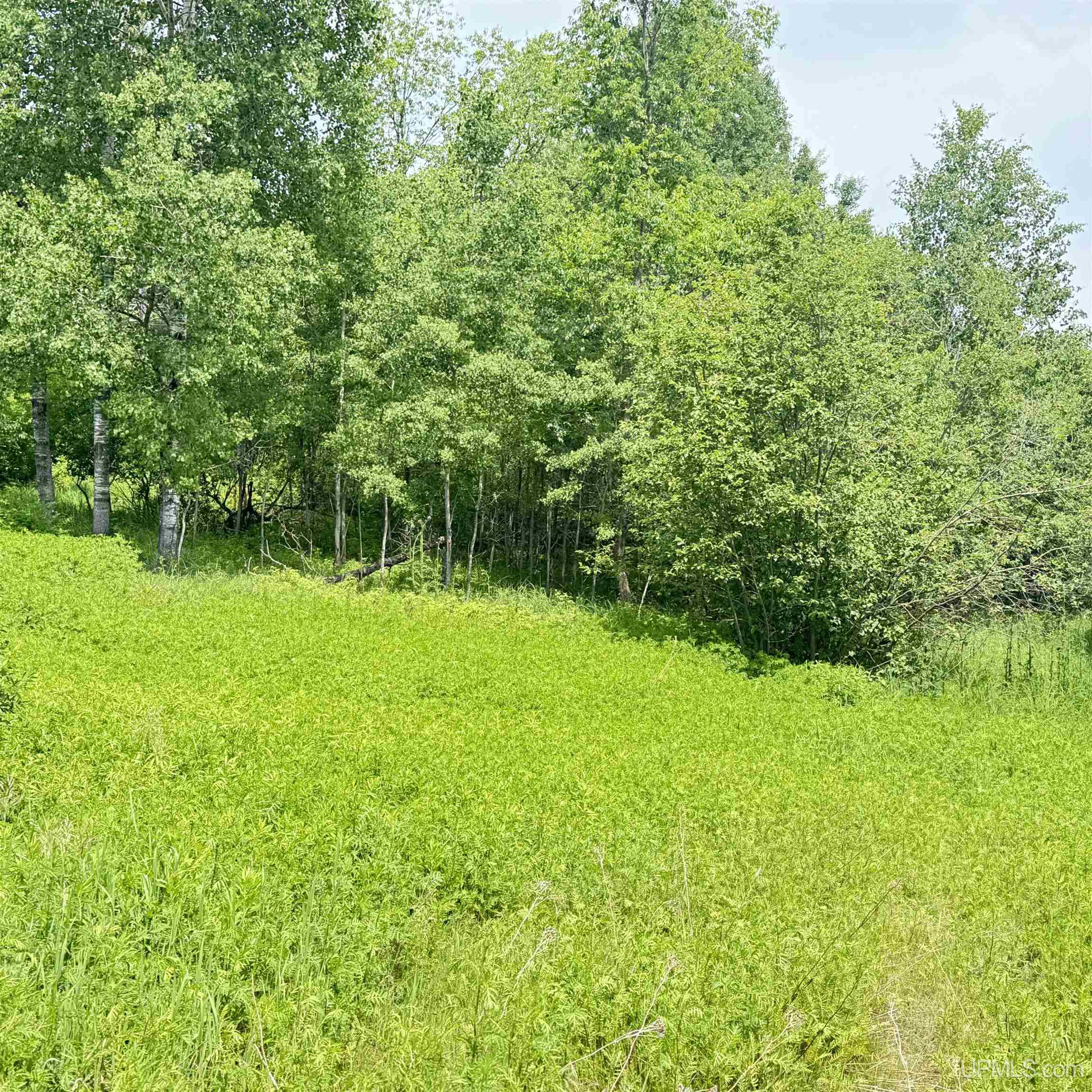 1669 Kofmehl Road Iron River, MI 49935 - Photo 38 of 49