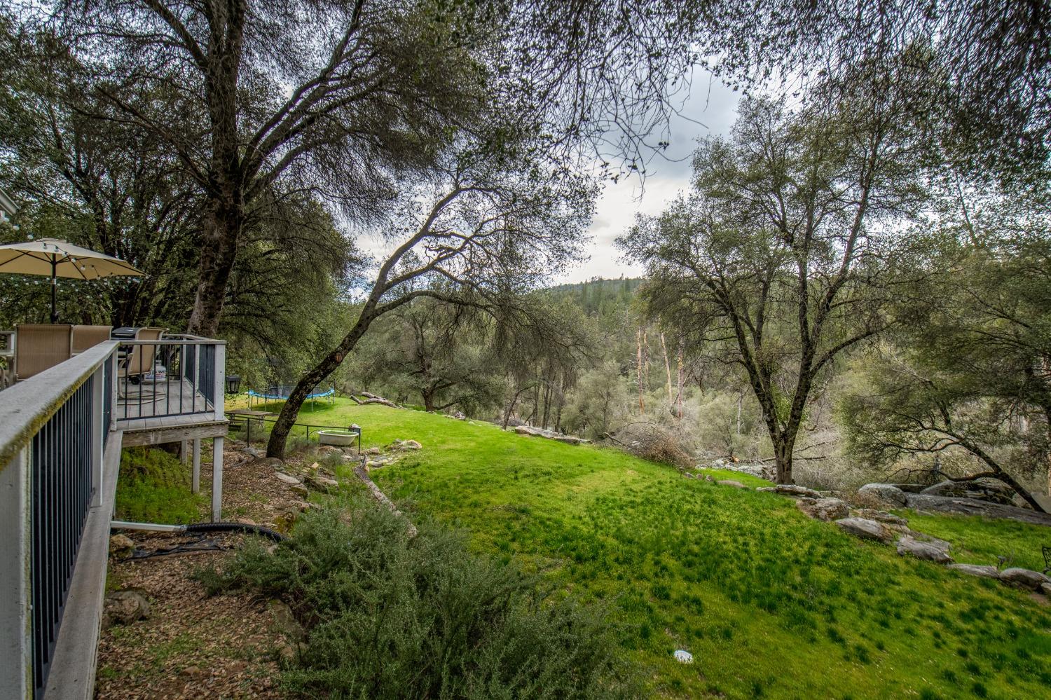 2695 Paso Pass Road Mariposa, CA 95338 - Photo 23 of 56 a backyard of a house with lots of green space