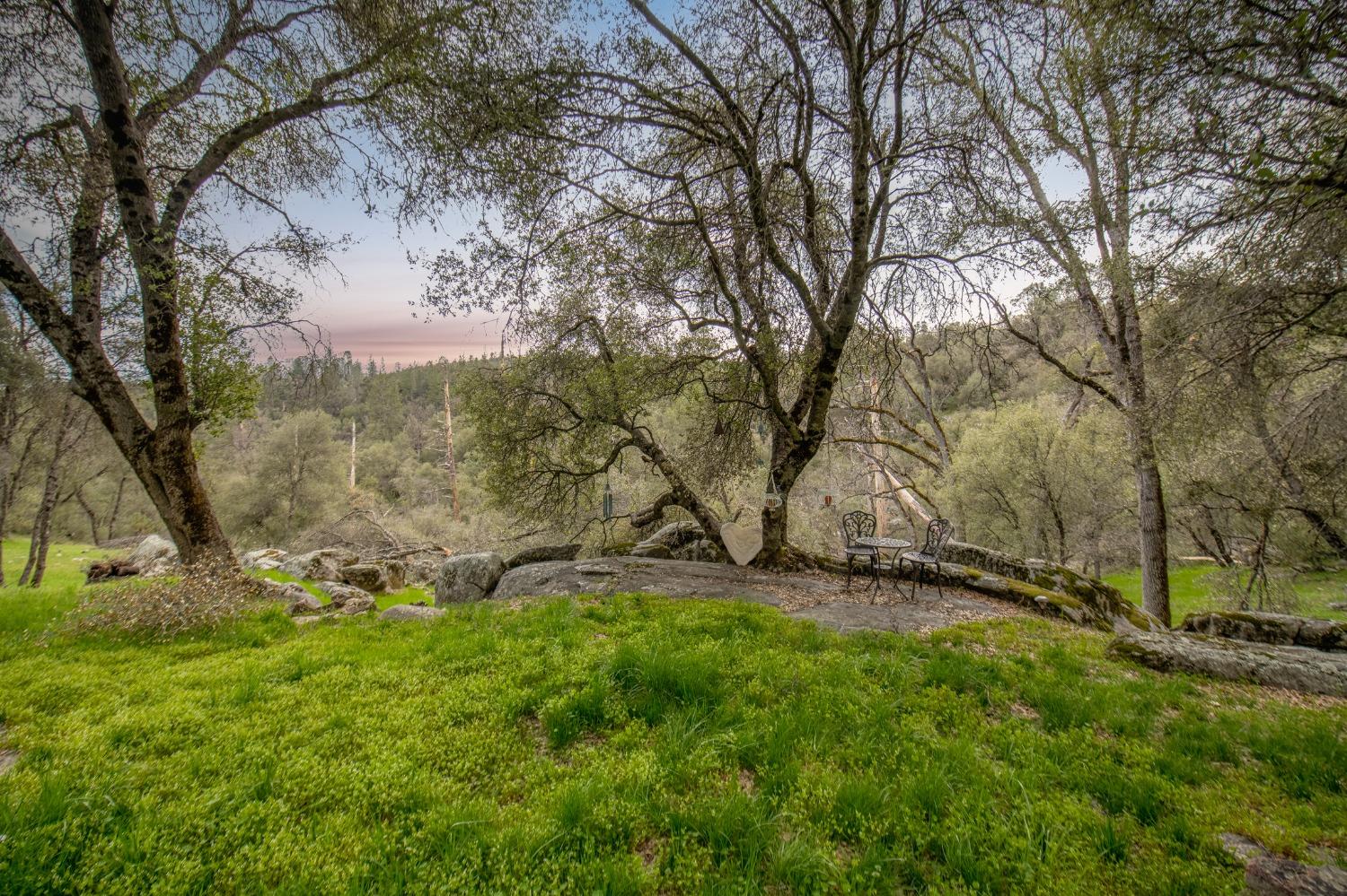 2695 Paso Pass Road Mariposa, CA 95338 - Photo 24 of 56 a view of a yard with large trees
