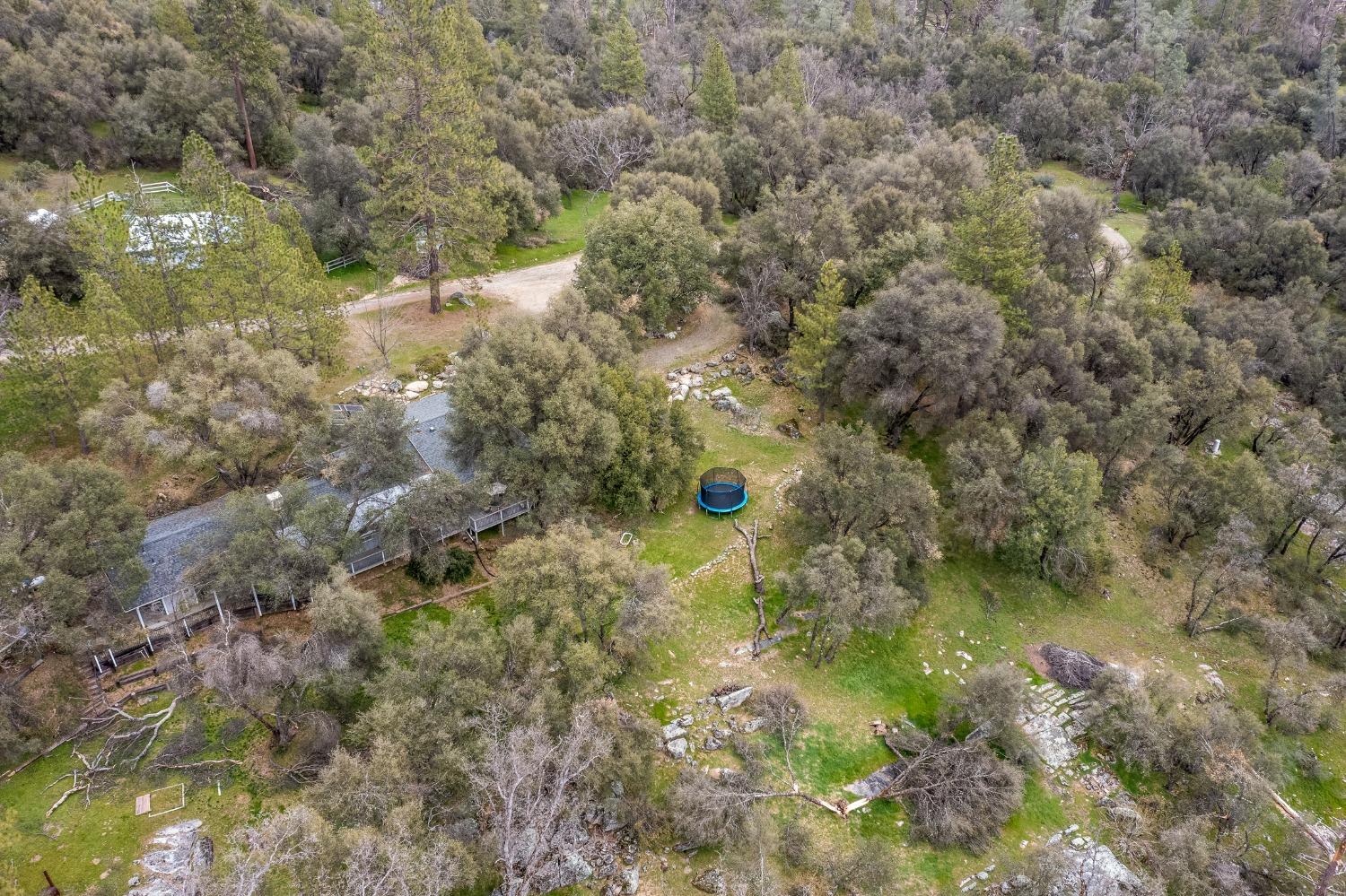 2695 Paso Pass Road Mariposa, CA 95338 - Photo 39 of 56