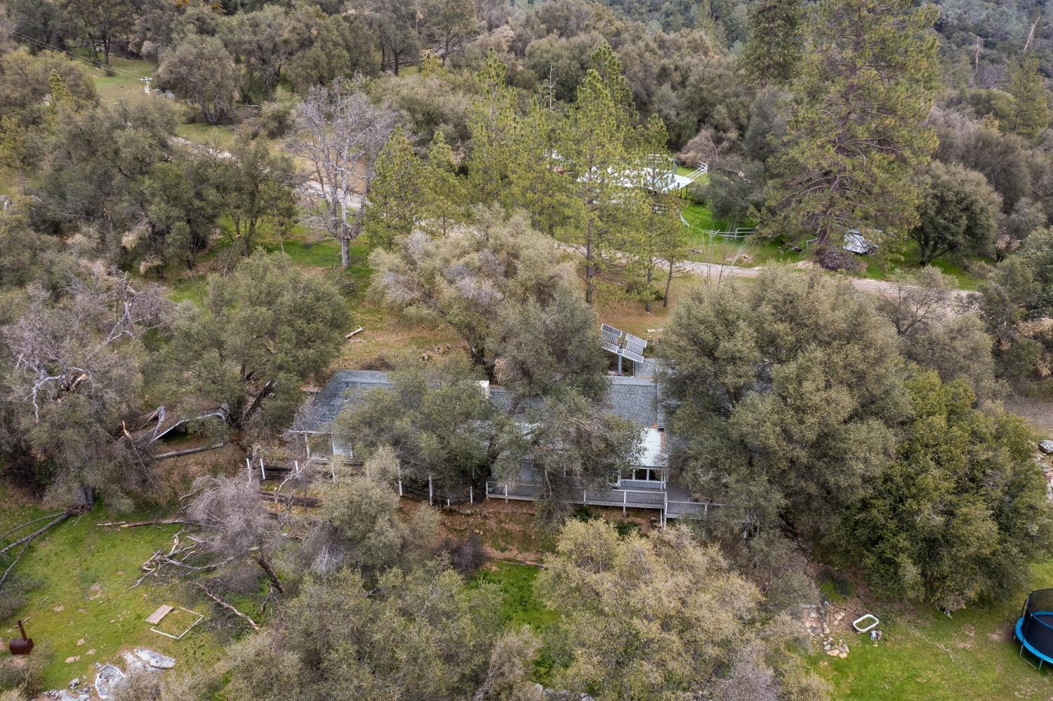 2695 Paso Pass Road Mariposa, CA 95338 - Photo 4 of 56 a view of a yard with large trees