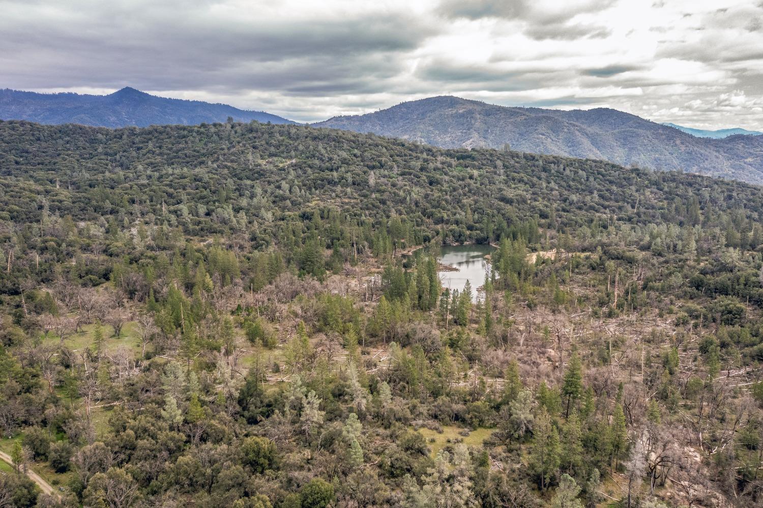2695 Paso Pass Road Mariposa, CA 95338 - Photo 41 of 56 a view of a city with mountains in the background
