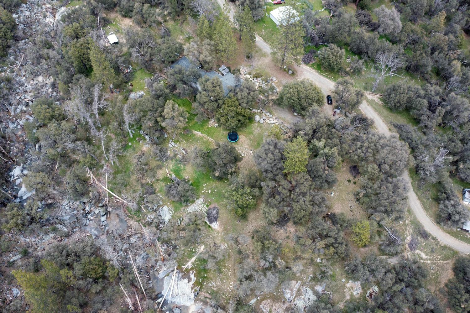 2695 Paso Pass Road Mariposa, CA 95338 - Photo 44 of 56 a view of a forest with trees