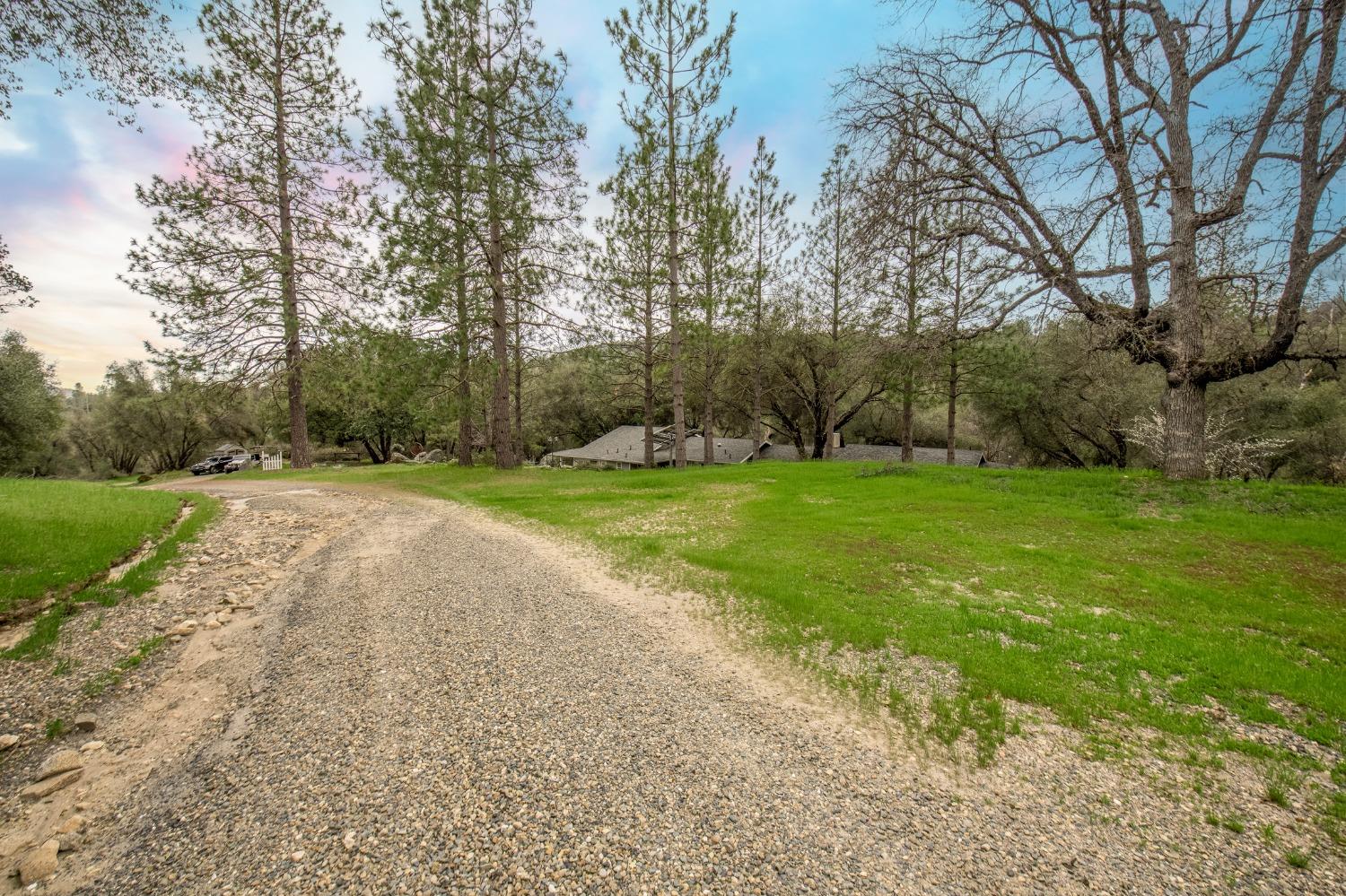 2695 Paso Pass Road Mariposa, CA 95338 - Photo 49 of 56 a view of a park with large trees
