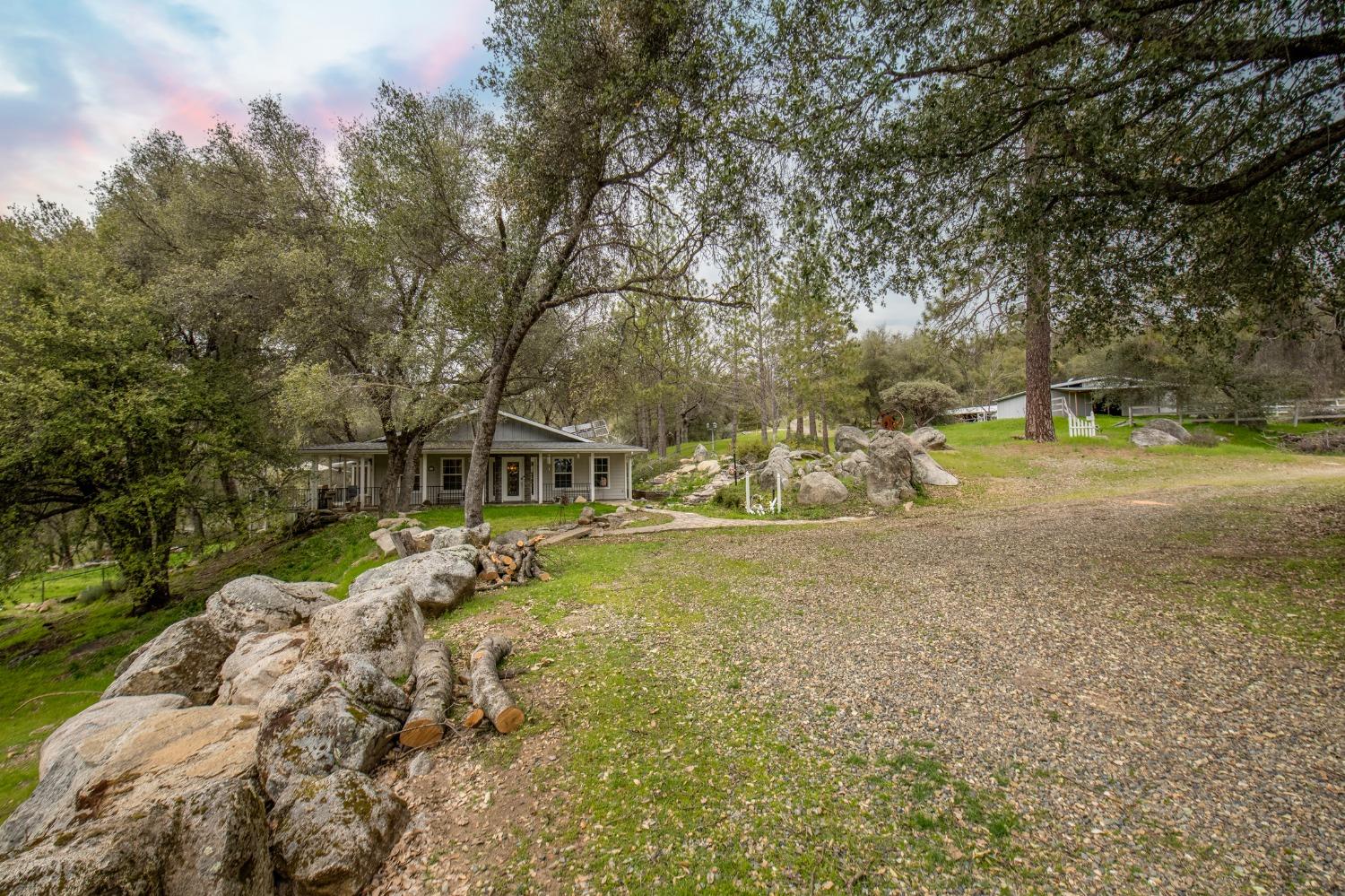 2695 Paso Pass Road Mariposa, CA 95338 - Photo 51 of 56 a view of a yard with large trees