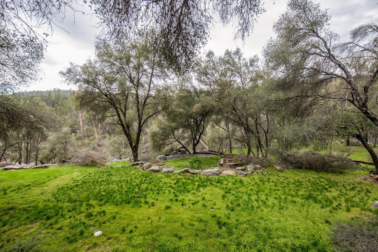 2695 Paso Pass Road Mariposa, CA 95338 - Photo 55 of 56 a green field covered with trees