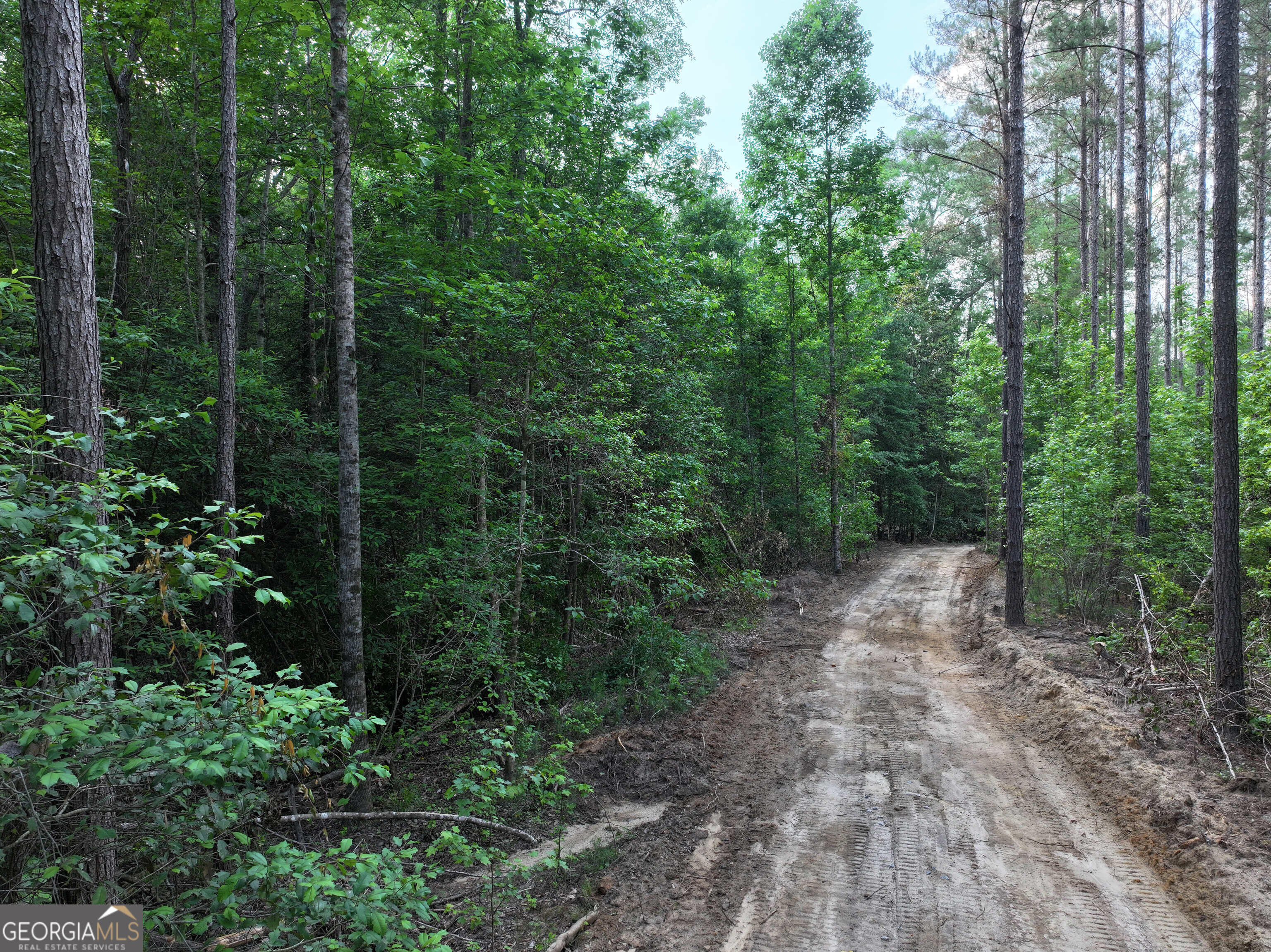 195 County Line Road Morris, GA 39867 - Photo 3 of 69 Gallery Image 3