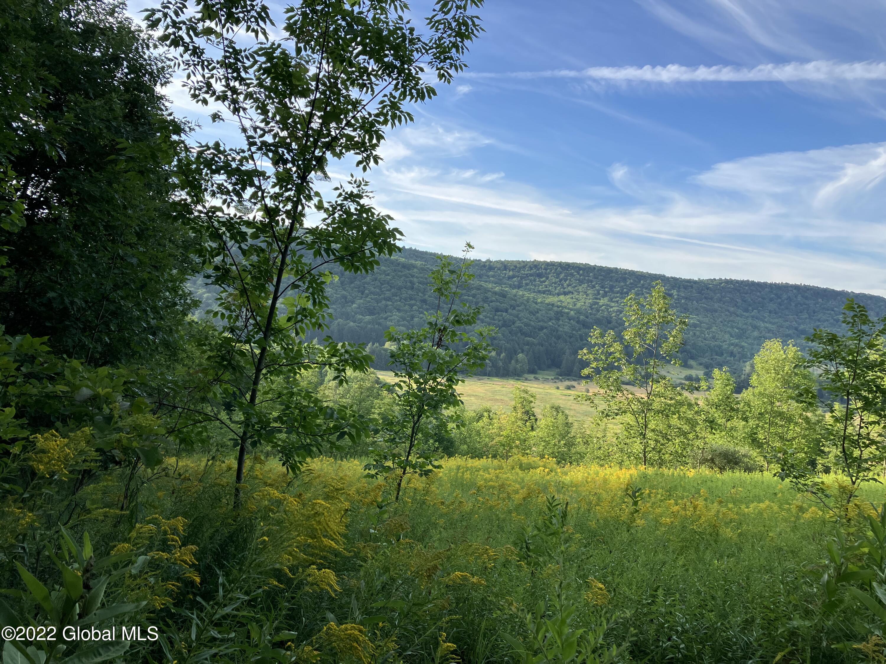 1017 Charlotte Valley Road Summit, NY 12064 - Photo 1 of 12 1