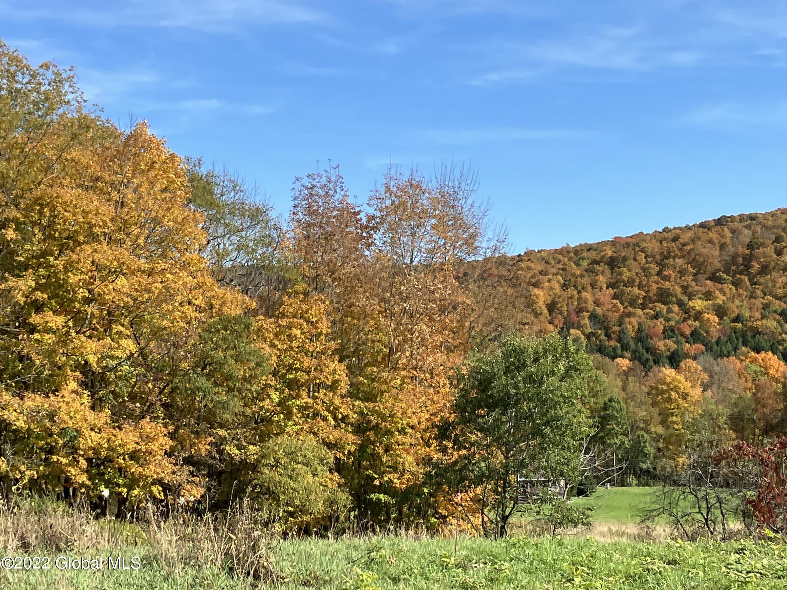 1017 Charlotte Valley Road Summit, NY 12064 - Photo 11 of 12 11