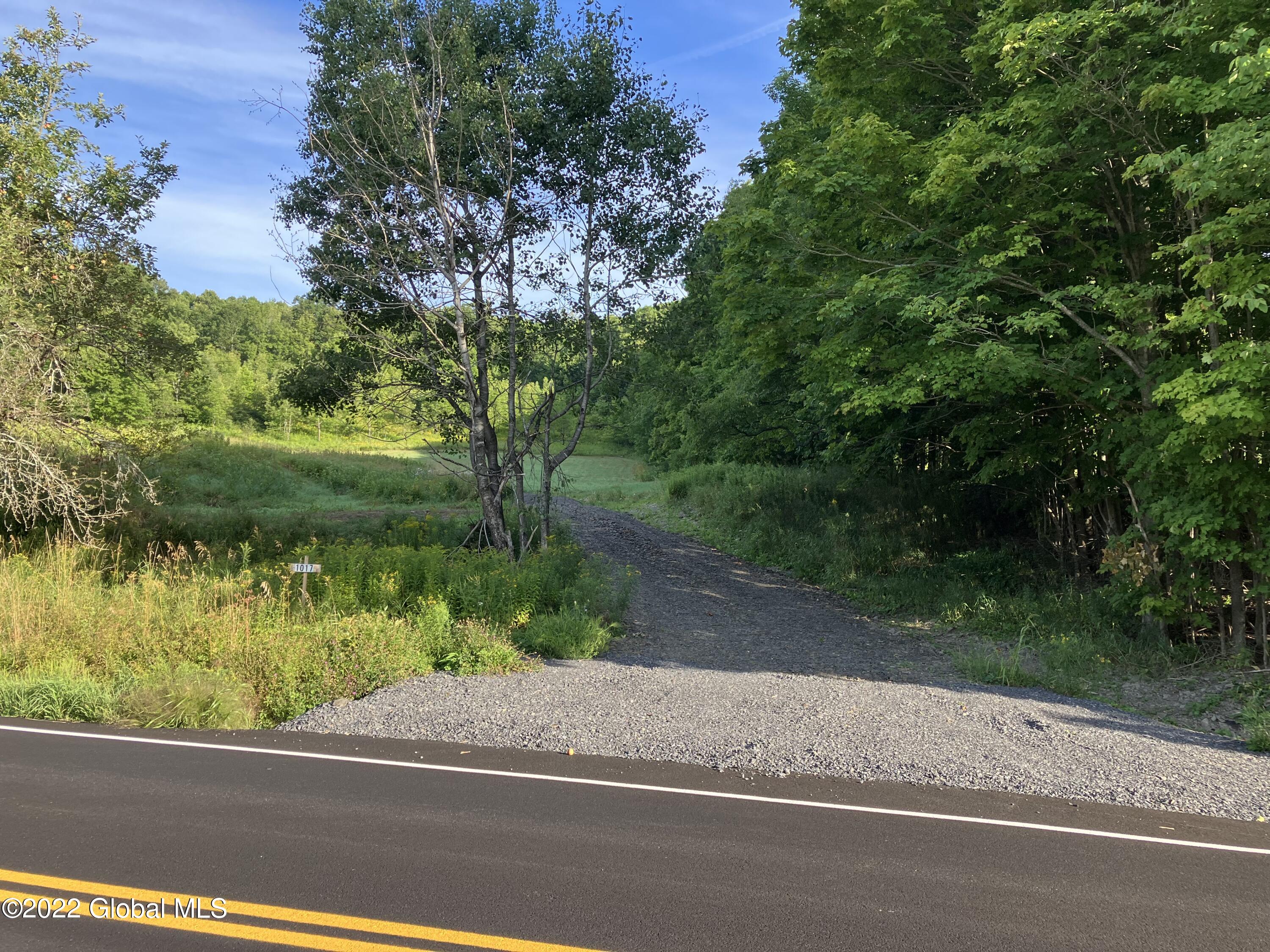 1017 Charlotte Valley Road Summit, NY 12064 - Photo 12 of 12 view from street