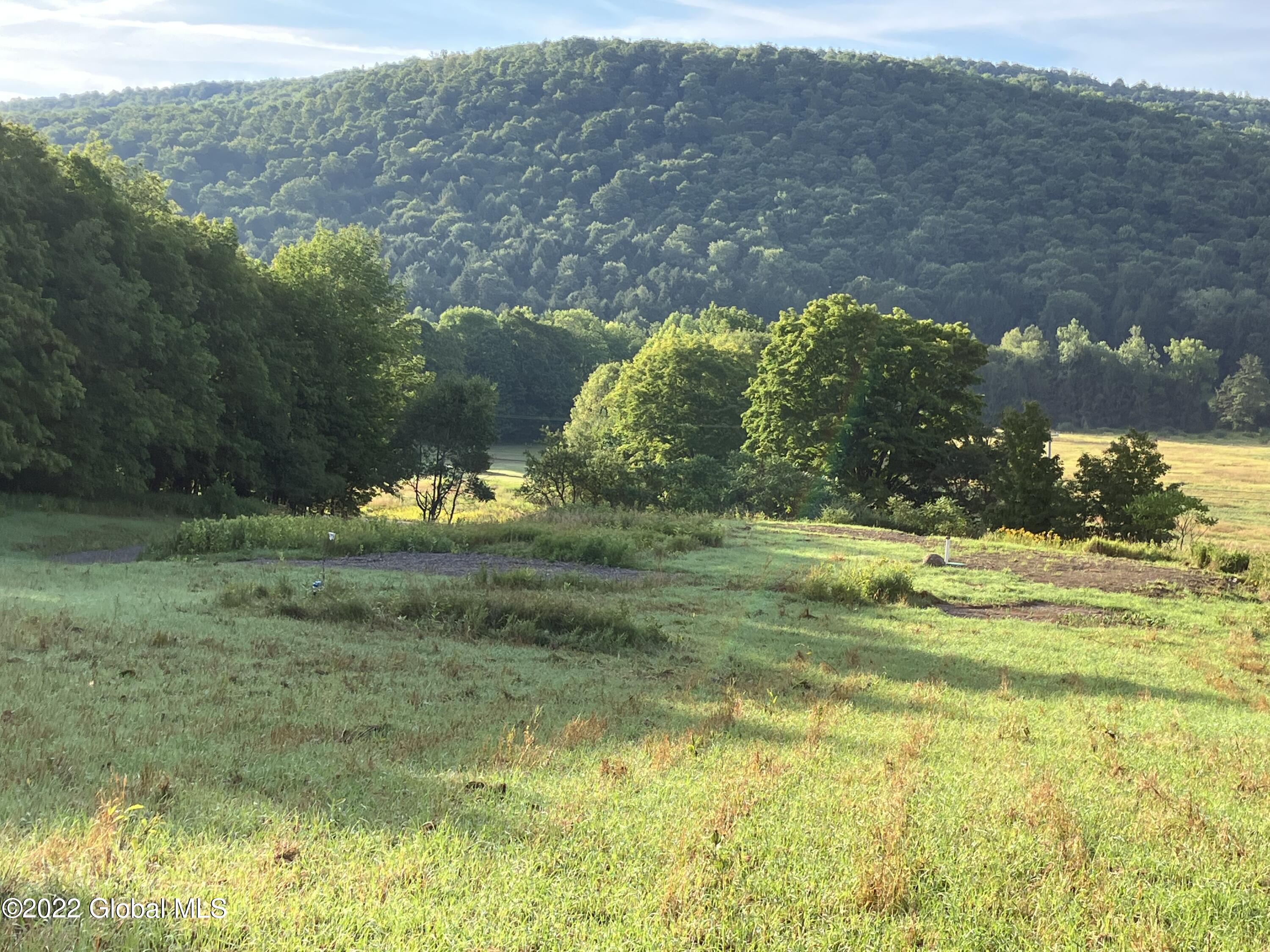 1017 Charlotte Valley Road Summit, NY 12064 - Photo 2 of 12 2