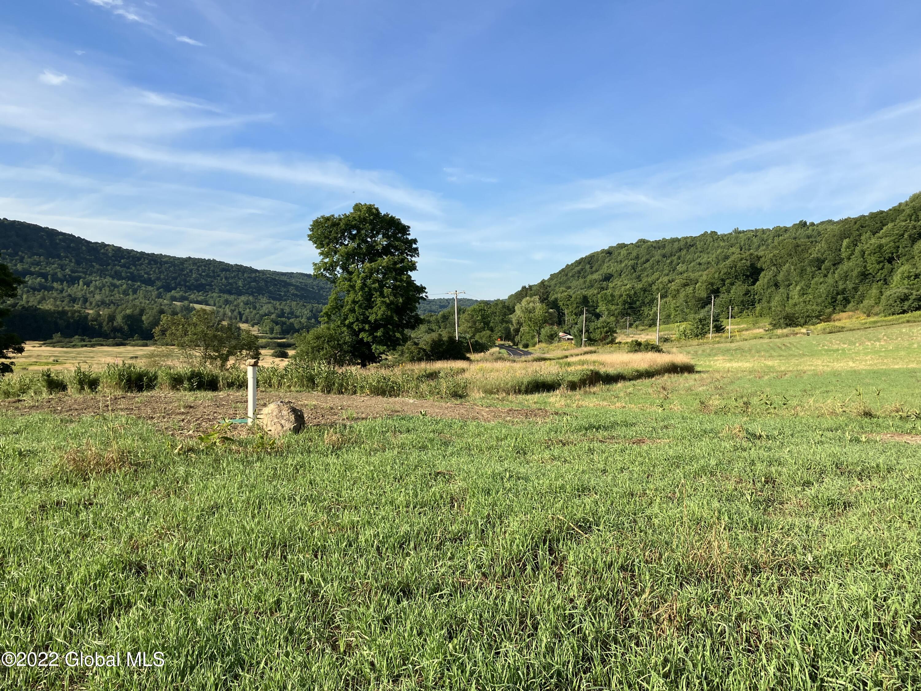 1017 Charlotte Valley Road Summit, NY 12064 - Photo 3 of 12 3