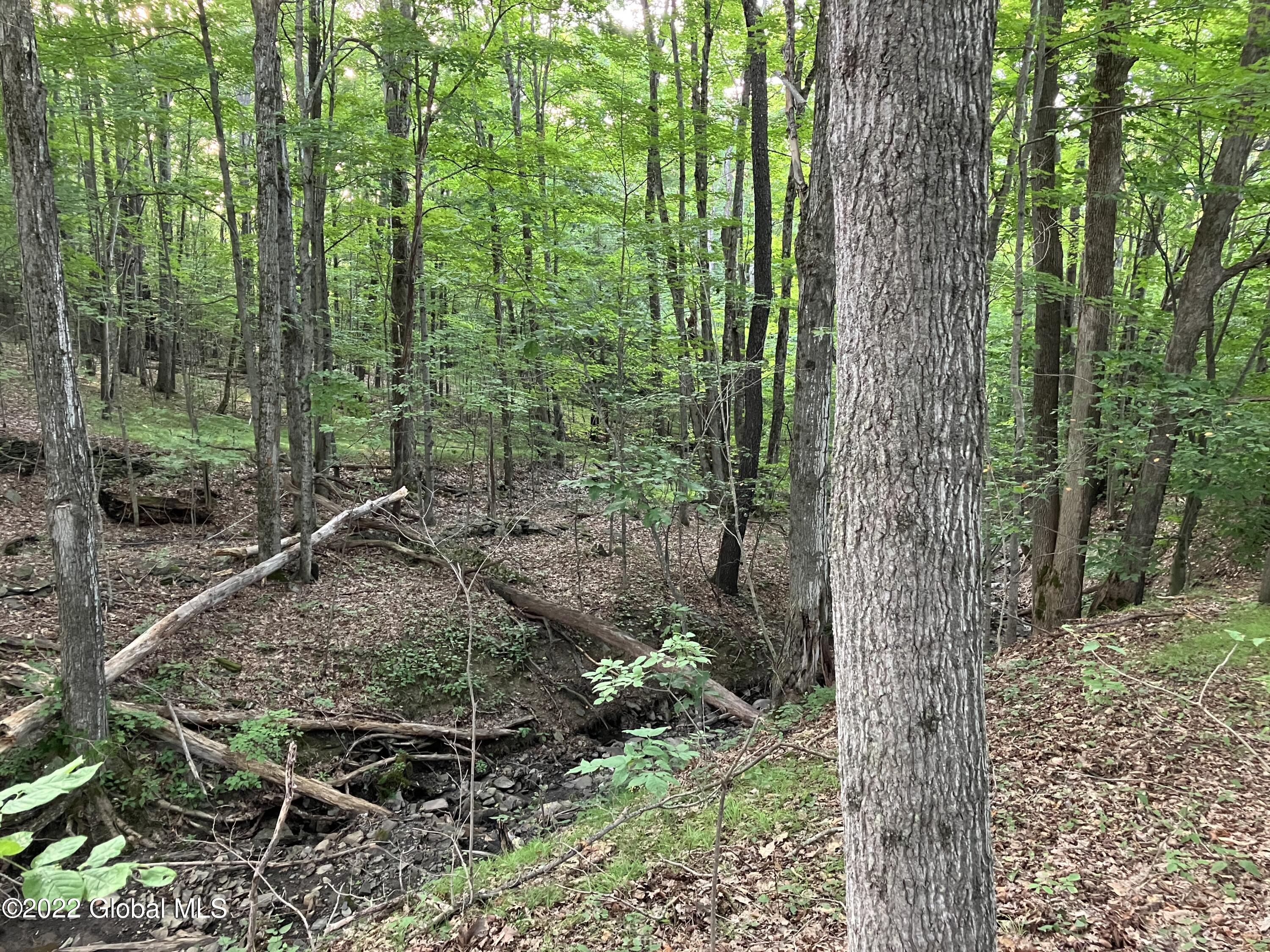 1017 Charlotte Valley Road Summit, NY 12064 - Photo 4 of 12 4