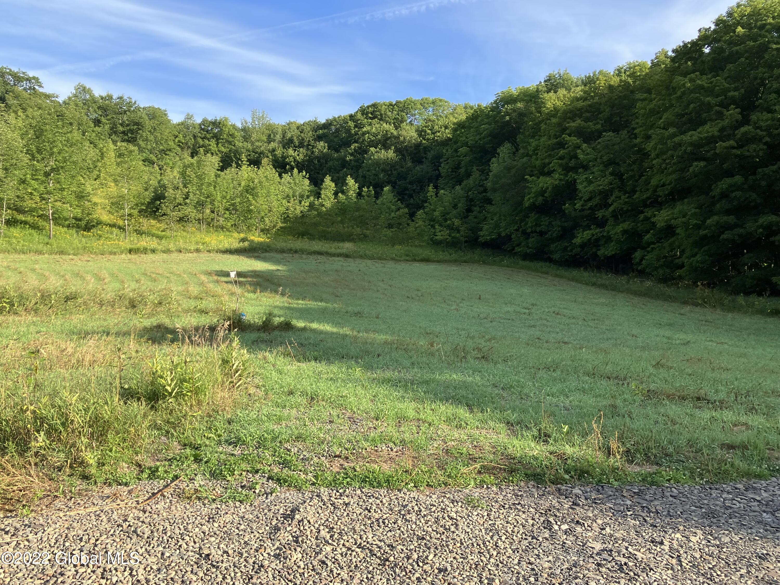 1017 Charlotte Valley Road Summit, NY 12064 - Photo 5 of 12 5