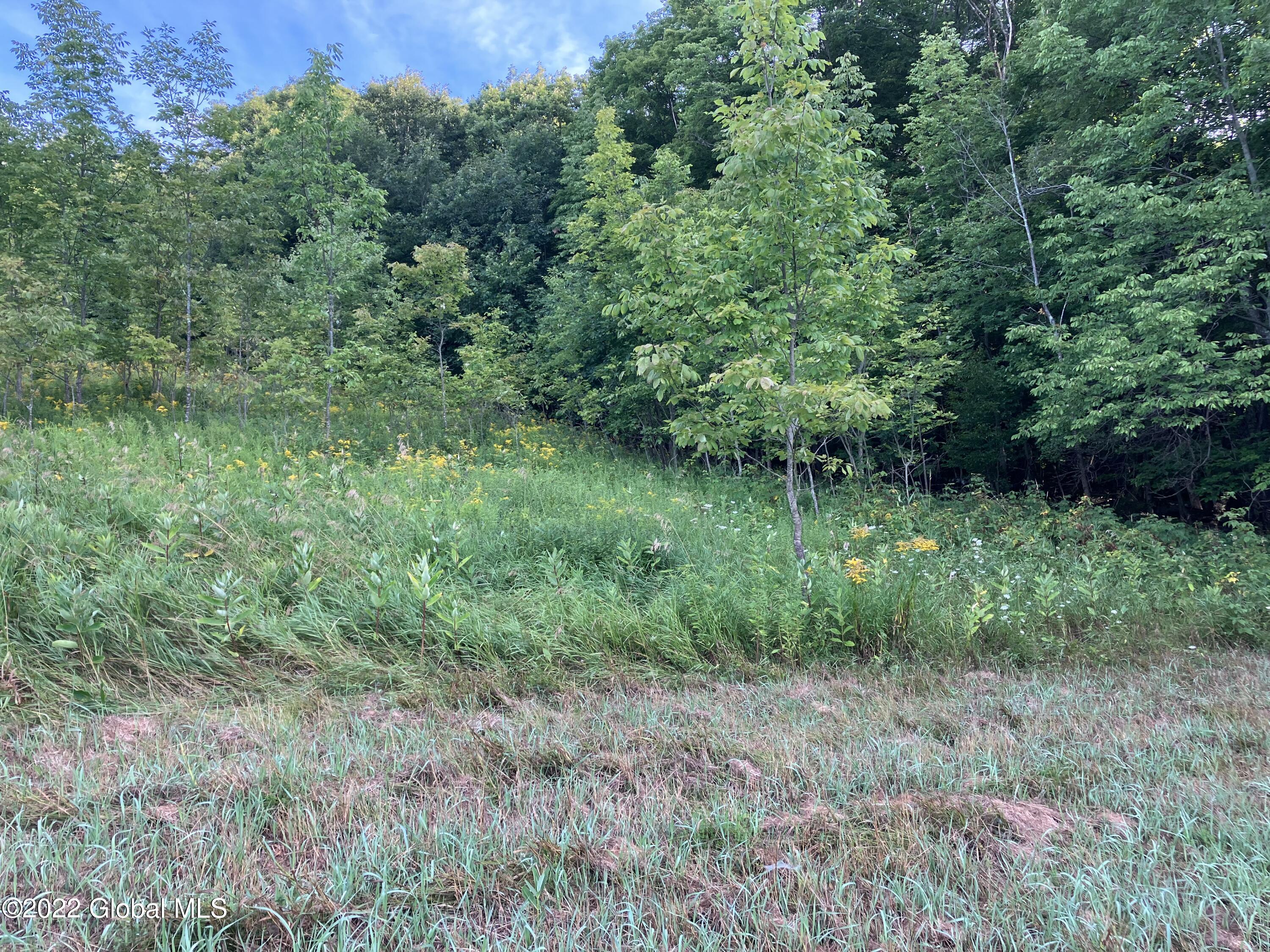 1017 Charlotte Valley Road Summit, NY 12064 - Photo 6 of 12 6