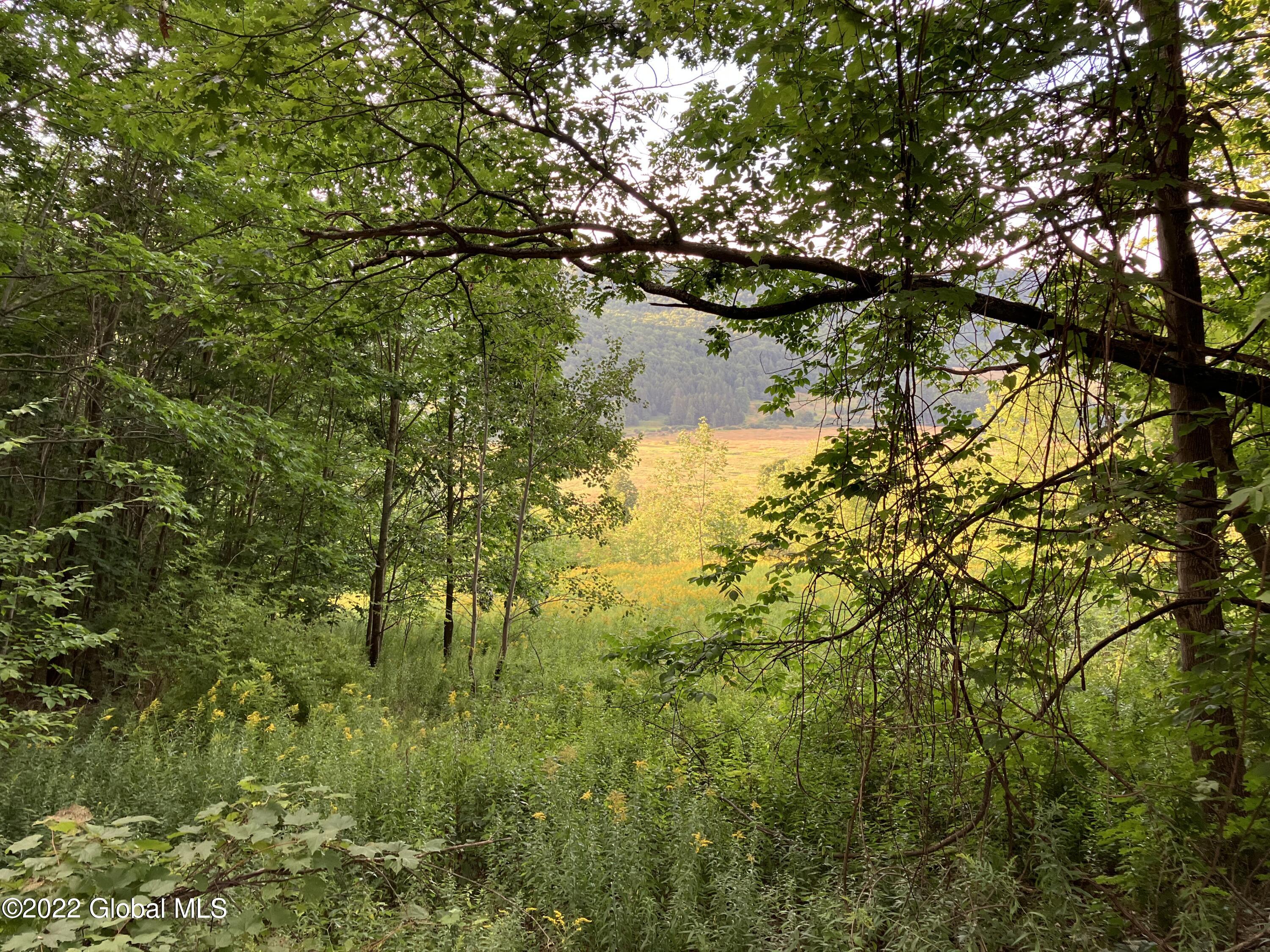 1017 Charlotte Valley Road Summit, NY 12064 - Photo 7 of 12 7