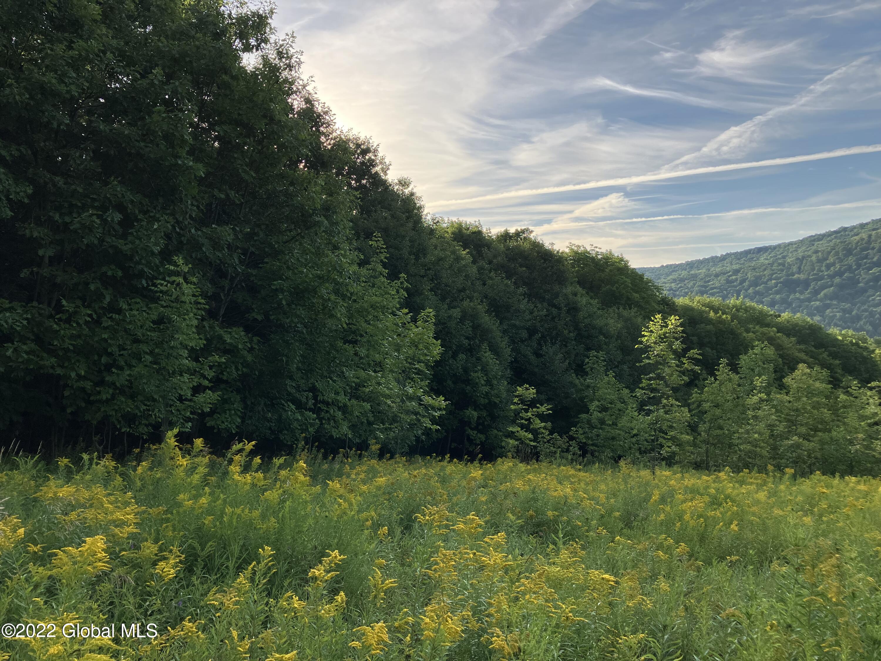 1017 Charlotte Valley Road Summit, NY 12064 - Photo 9 of 12 9