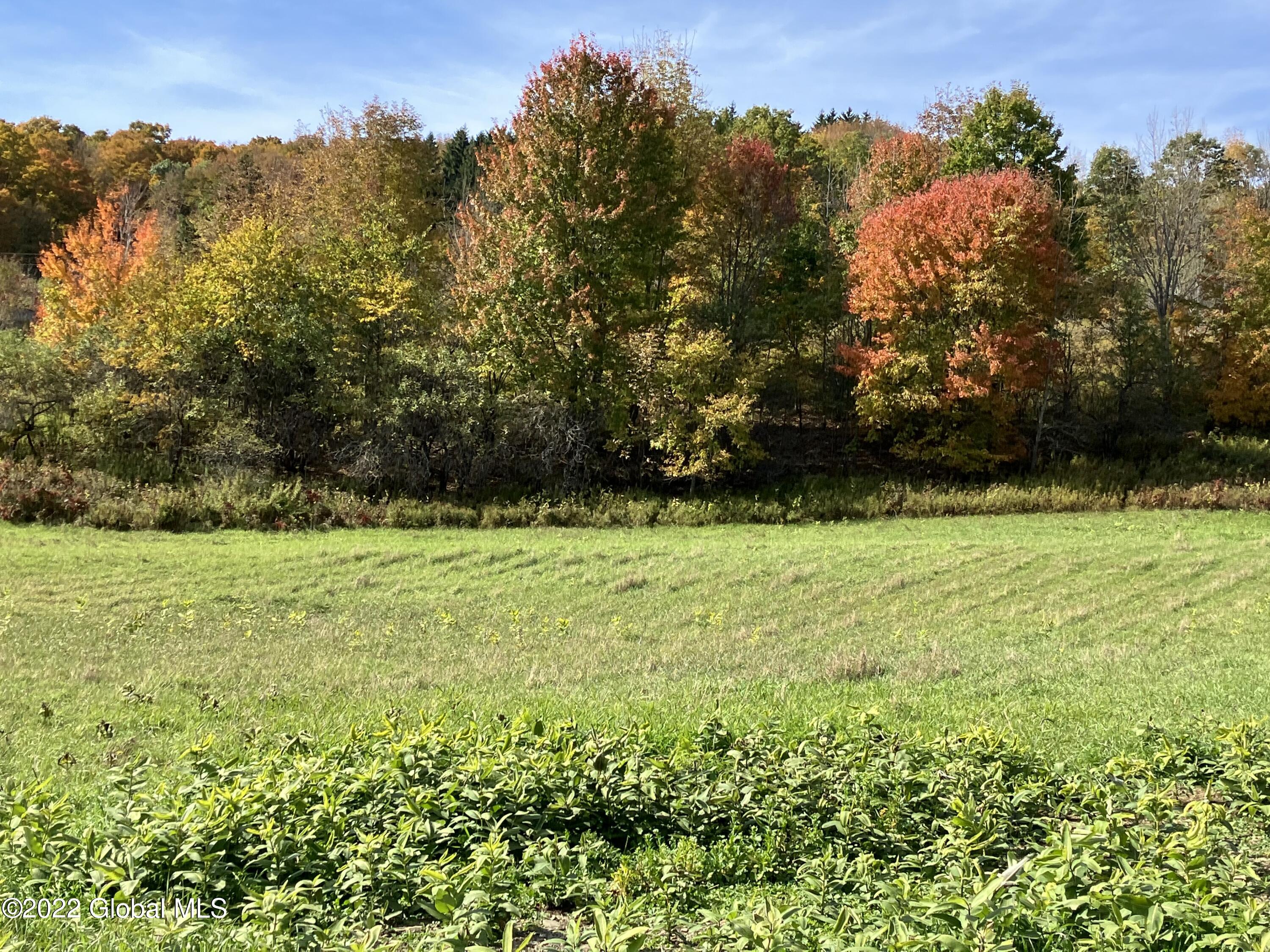 1017 Charlotte Valley Road Summit, NY 12064 - Photo 10 of 12 10