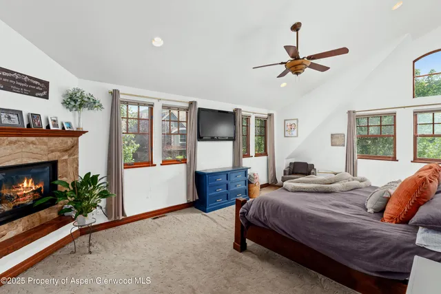 a bedroom with a bed a fireplace and potted plant