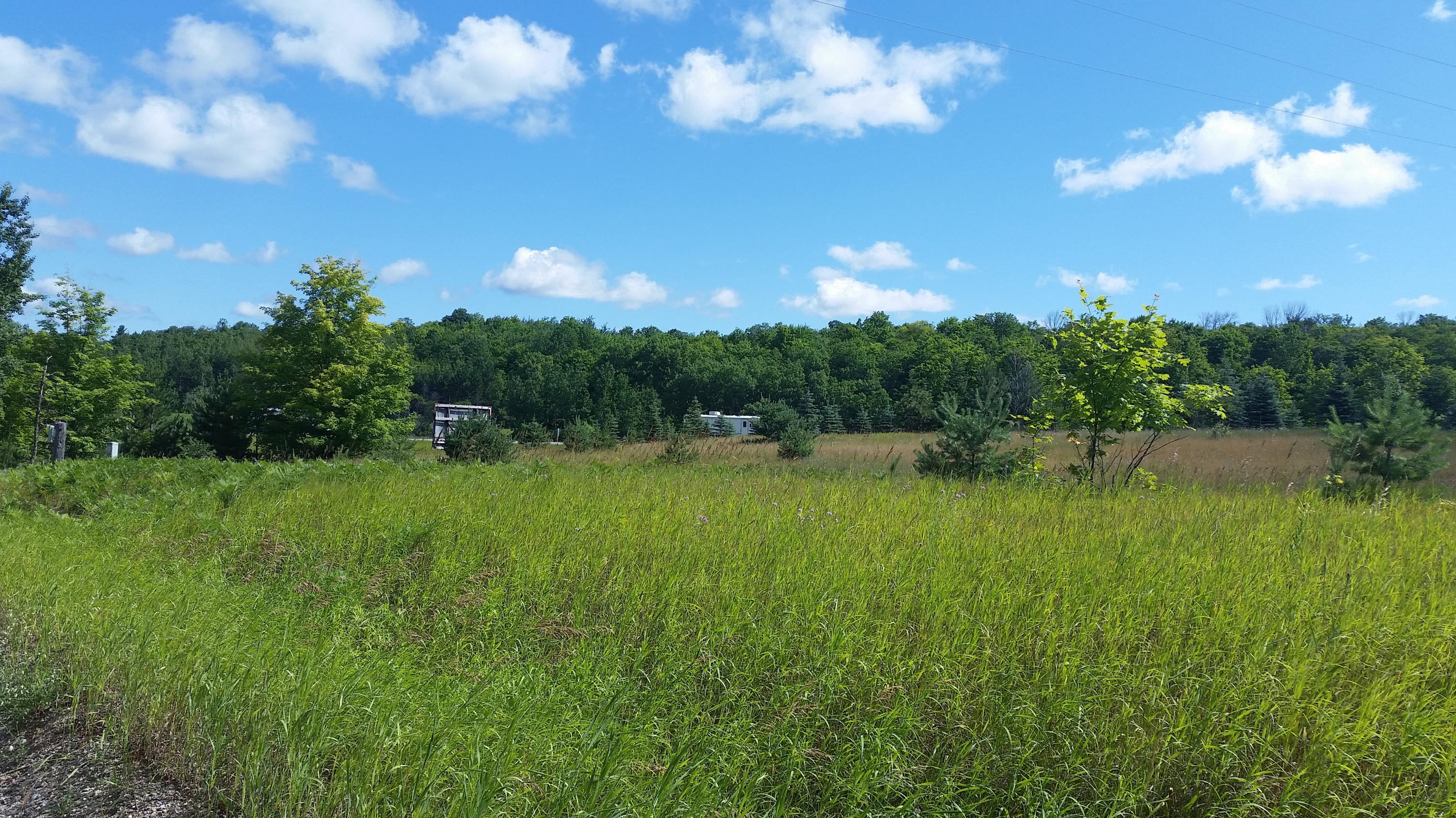0 Rondo Road Wolverine, MI 49799 - Photo 14 of 41 Gallery Image 14
