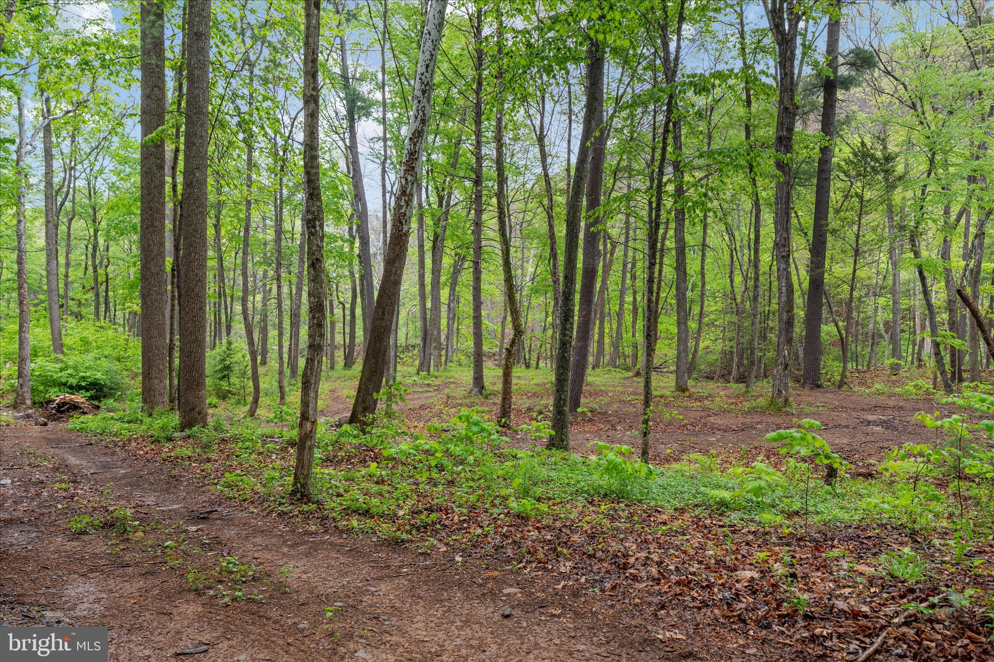 13581 Ford Hill Road Rio, WV 26755 - Photo 47 of 70 2E6A1228_13581 Ford Hill Rd - Absolute Altitude -