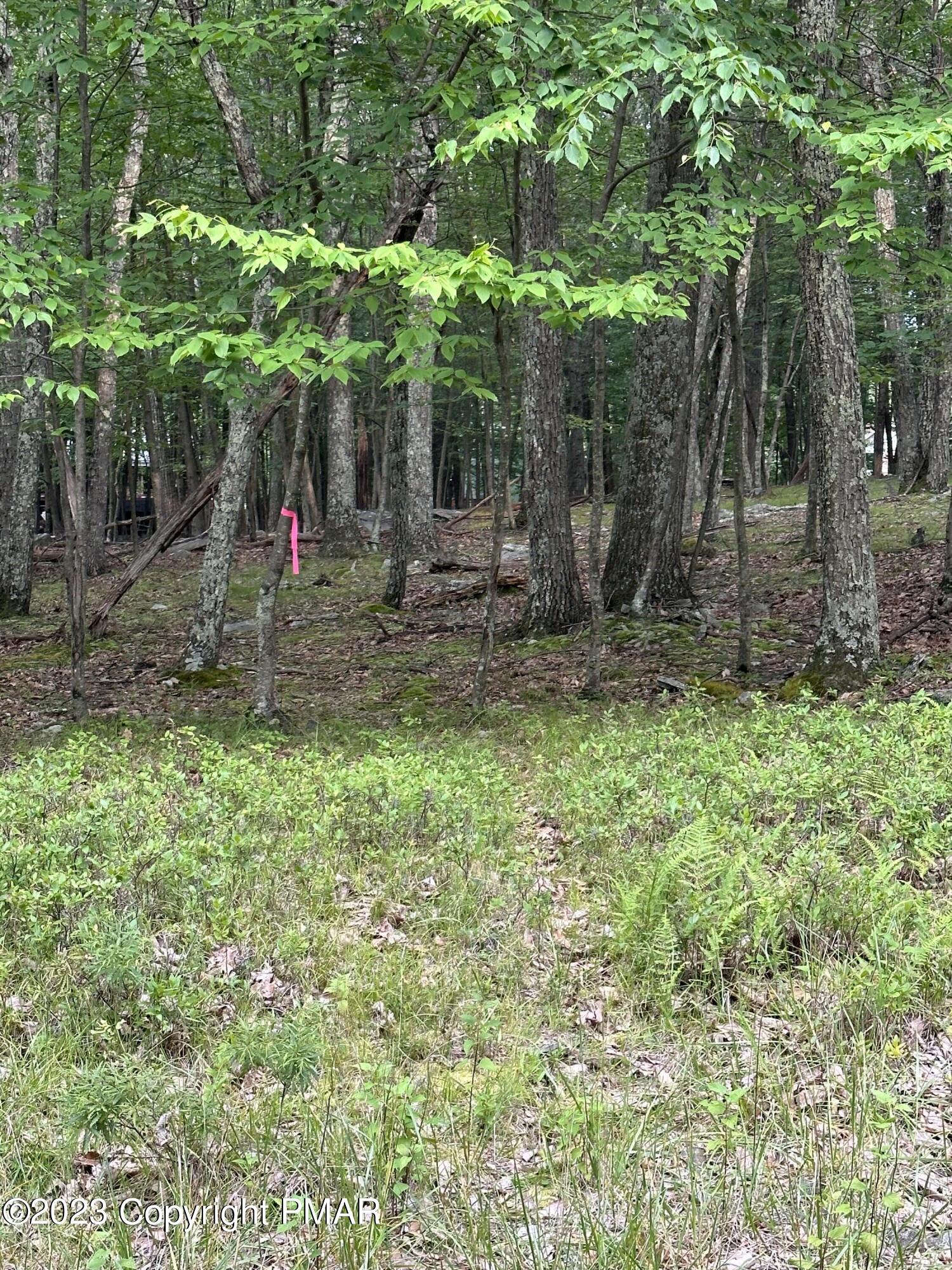 Lot 7 Cardinal Drive Bushkill, PA 18324 - Photo 2 of 5 IMG_0100