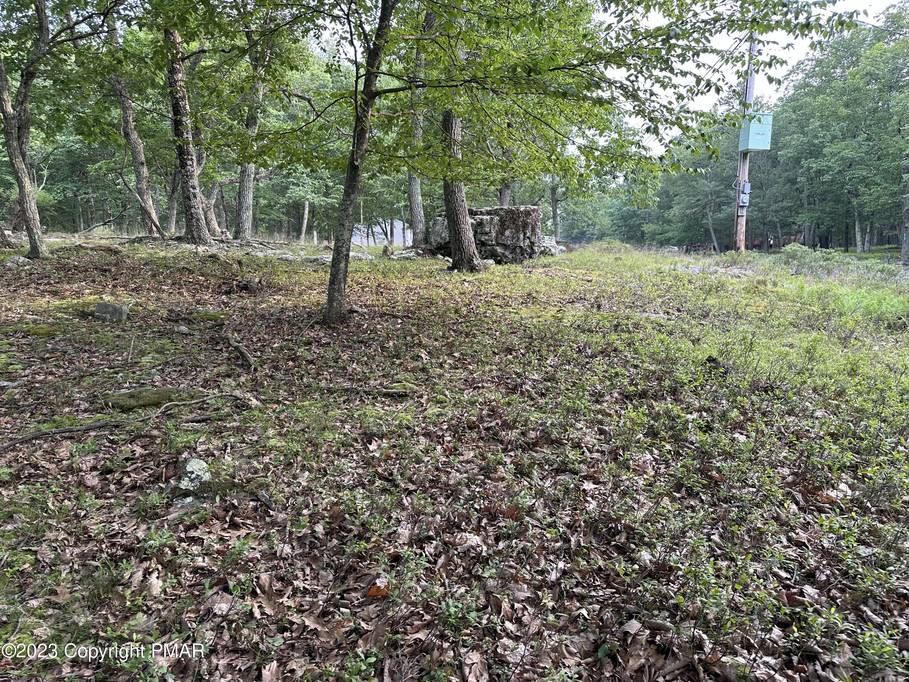 Lot 7 Cardinal Drive Bushkill, PA 18324 - Photo 3 of 5 IMG_0097