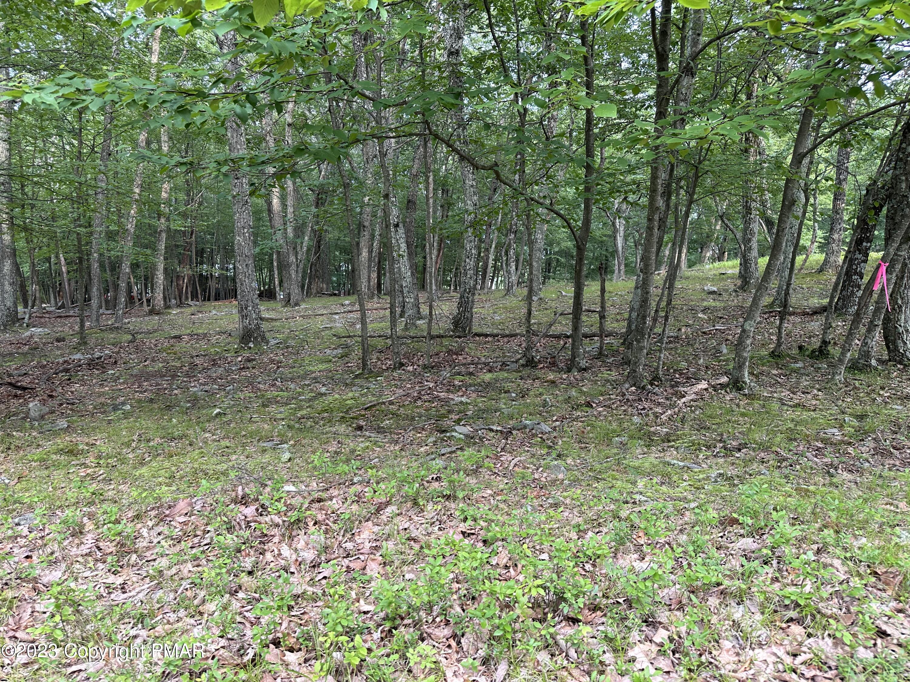 Lot 7 Cardinal Drive Bushkill, PA 18324 - Photo 4 of 5 IMG_0103