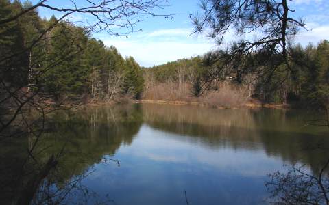 281 Bear Paw Trail Blue Ridge, GA 30513 - Photo 1 of 1 Main View