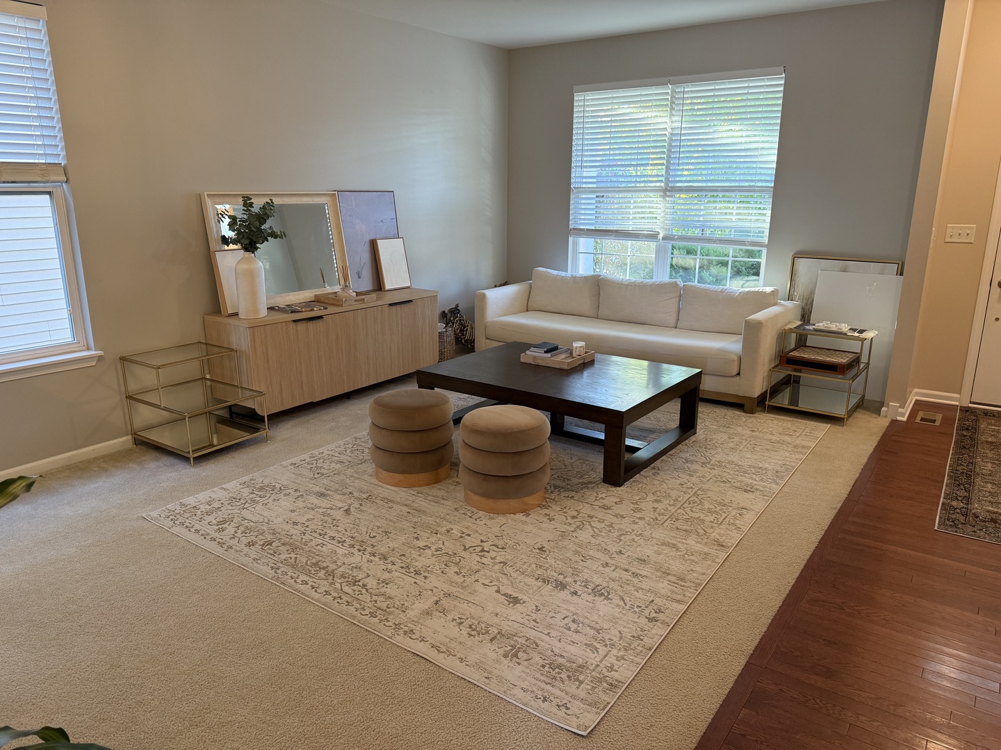 2572 Retreat Circle Lisle, IL 60532 - Photo 16 of 40 a living room with furniture rug and window
