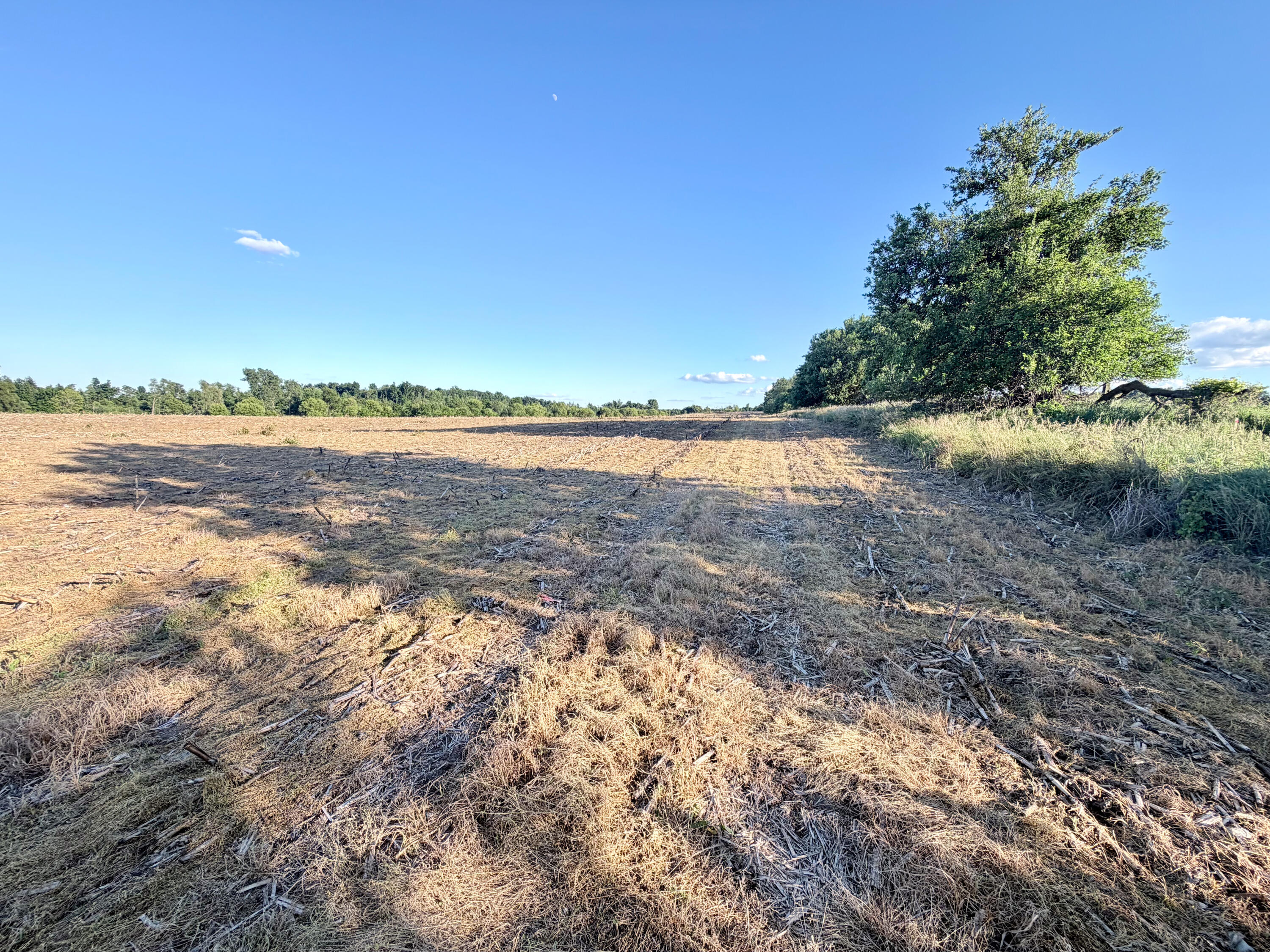 8375 South Stoney Lake Road Jackson, MI 49201 - Photo 78 of 101 Jackson 111.84-080