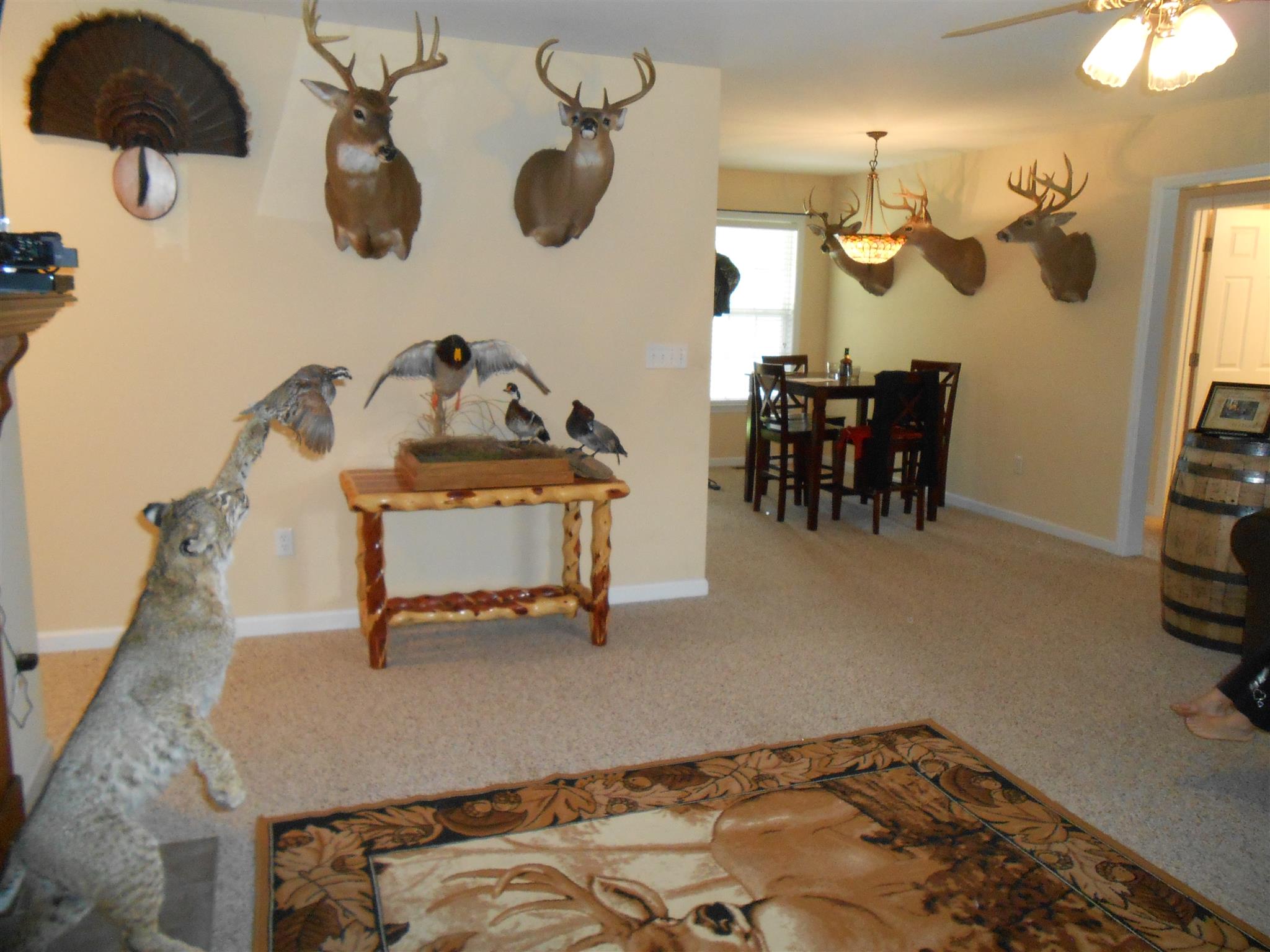 96 Jenkins Road Lynchburg, TN 37352 - Photo 11 of 26