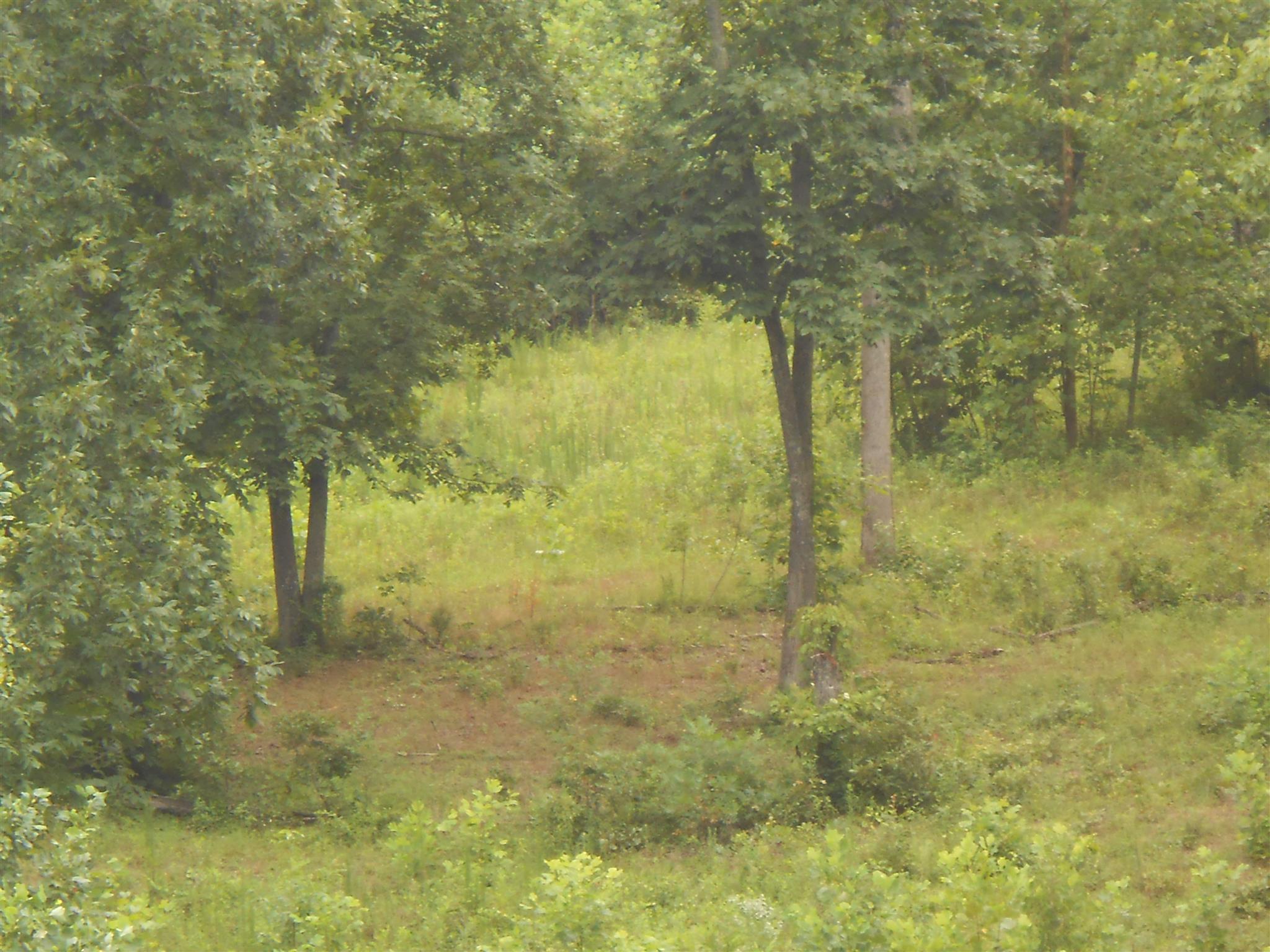 96 Jenkins Road Lynchburg, TN 37352 - Photo 23 of 26