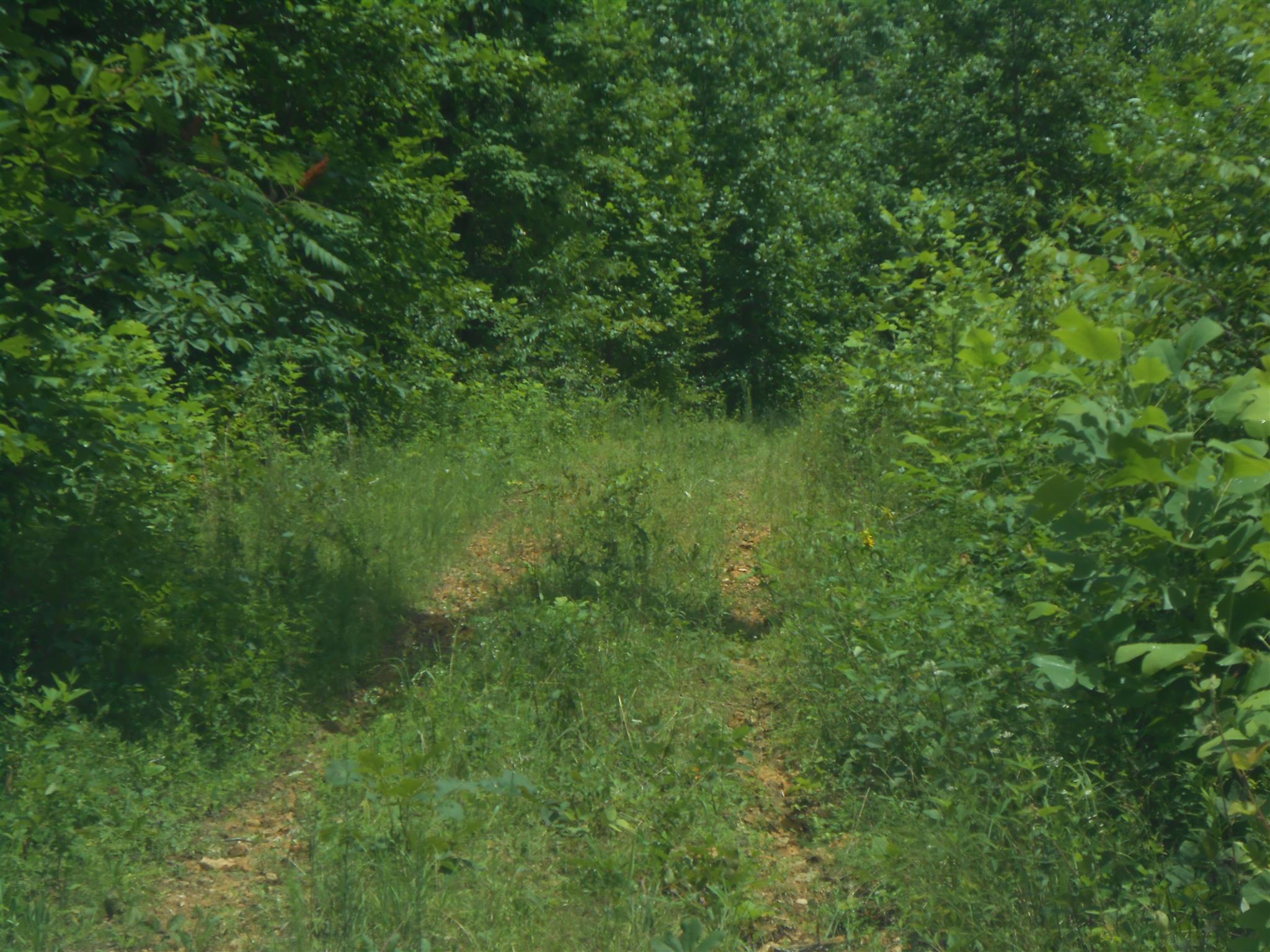 96 Jenkins Road Lynchburg, TN 37352 - Photo 25 of 26