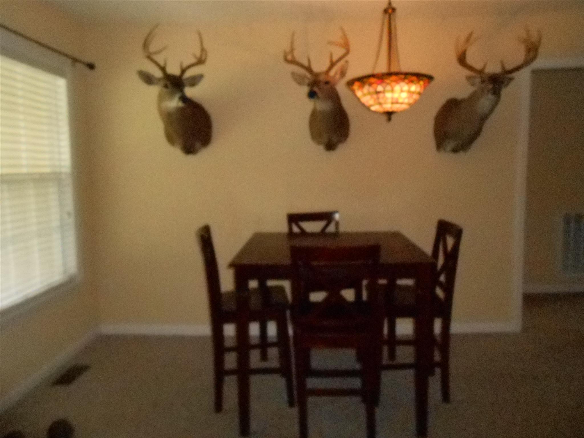 96 Jenkins Road Lynchburg, TN 37352 - Photo 10 of 26