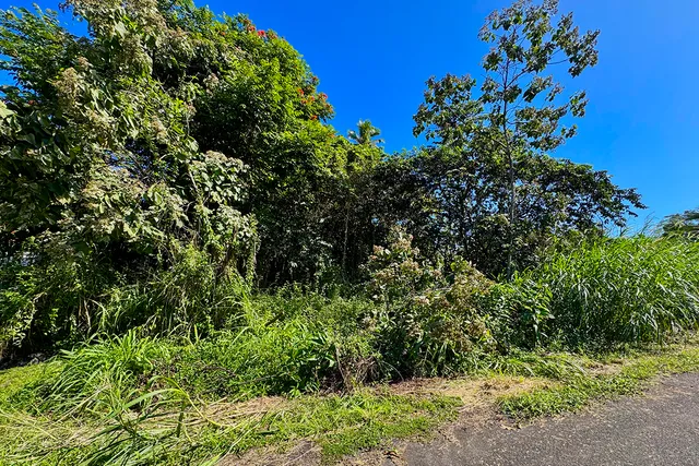 $25,000 | 3 Oopu Street, Pahoa, HI 96778