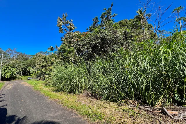 $25,000 | 3 Oopu Street, Pahoa, HI 96778