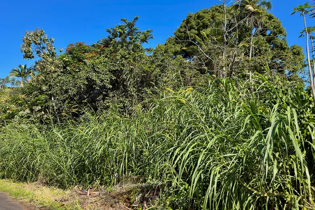 $25,000 | 3 Oopu Street, Pahoa, HI 96778