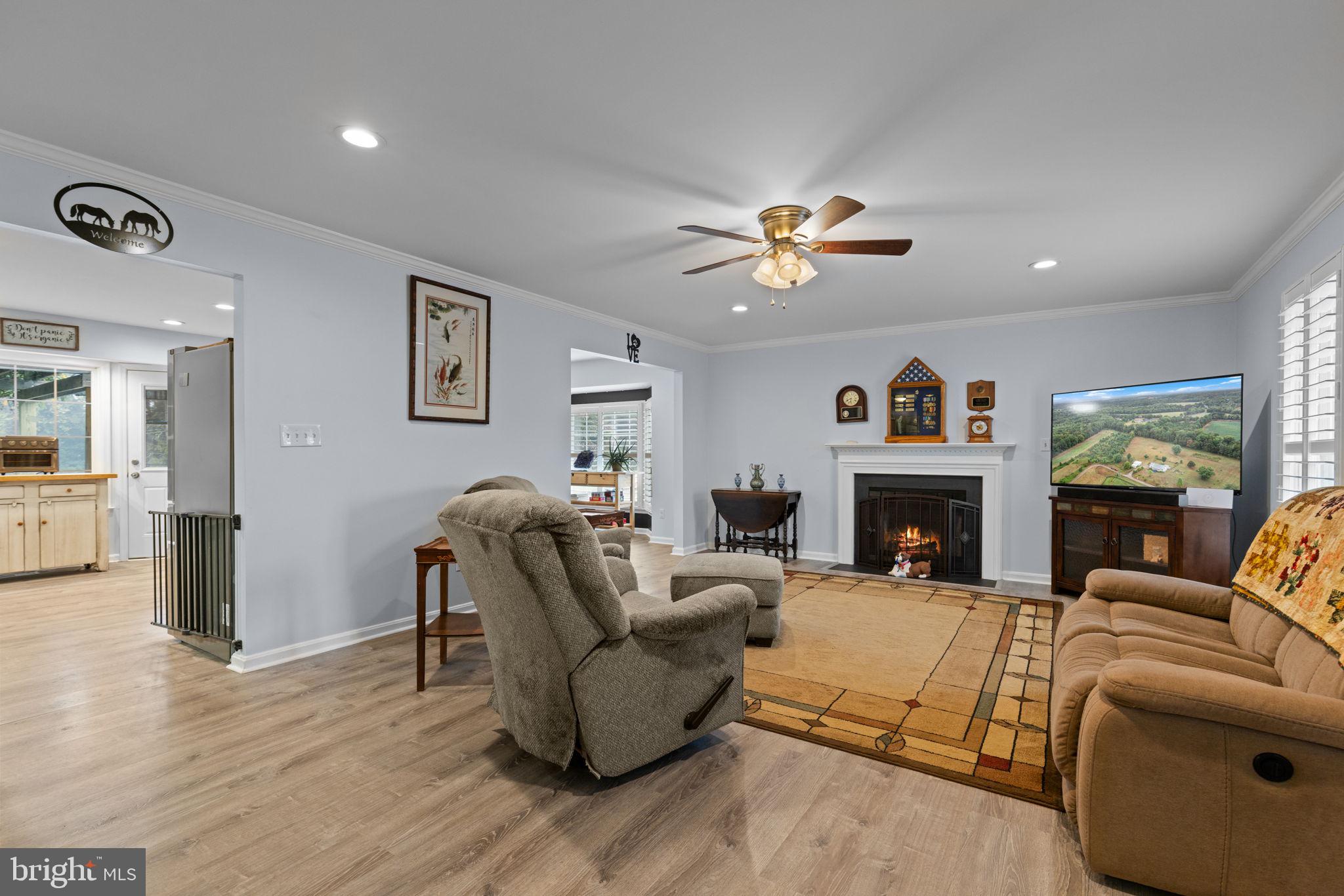 9178 Hannah Dustin Catlett, VA 20119 - Photo 3 of 52 Large living room with fireplace
