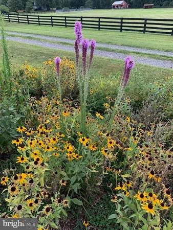 $699,900 | 9178 Hannah Dustin Lane, Catlett, VA 20119