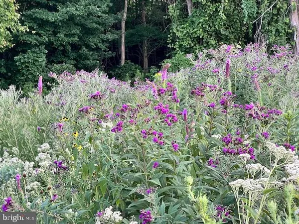 $699,900 | 9178 Hannah Dustin Lane, Catlett, VA 20119