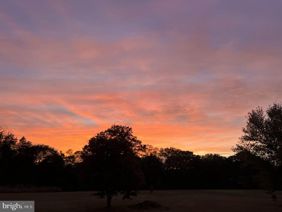 9178 Hannah Dustin Catlett, VA 20119 - Photo 51 of 54 View of sunset from rear of house