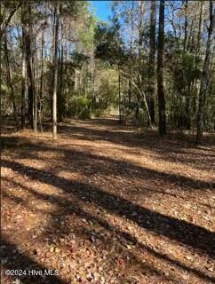 427 Bell Point Road Merritt, NC 28556 - Photo 12 of 20 tempImageuiWZRR