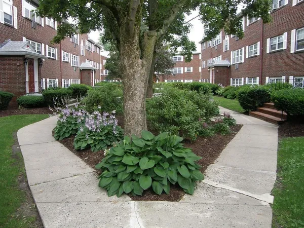 a view of a garden with pathway